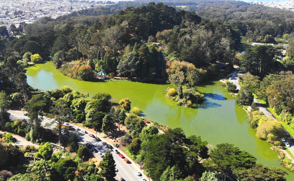 从旧金山到红杉树林公园和Sausalito的一日游  san francisco muir woods tour.JPG